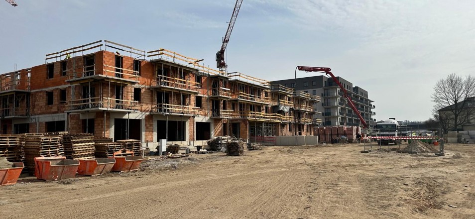 Zdjęcie WhatsApp 2024-04-19 o 12.09.54_89d24a5b